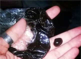 ਜਲੰਧਰ : ਦੇਸੀ ਘਿਓ ਵਾਲੇ ਡੋਲੂ ‘ਚੋਂ ਨਿਕਲੀ ਅੱਧਾ ਕਿਲੋ ਤੋਂ ਜ਼ਿਆਦਾ ਅਫੀਮ, ਮਹਿਲਾ ਗ੍ਰਿਫਤਾਰ, ਪਹਿਲਾਂ ਵੀ ਦਰਜ ਹਨ 7 ਪਰਚੇ