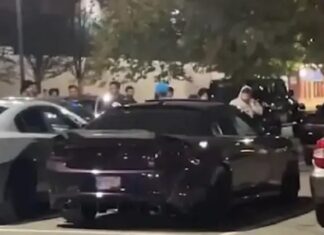 ਕੈਨੇਡਾ ਤੋਂ ਡੀਪੋਰਟ ਹੋਣਗੇ 40 ਭਾਰਤੀ ਵਿਦਿਆਰਥੀ : ਪੁਲਿਸ ਡਿਊਟੀ ‘ਚ ਰੁਕਾਵਟ ਪਾਈ, ਗੱਡੀ ‘ਤੇ ਬੈਠ ਕੇ ਵਜਾ ਰਹੇ ਸਨ ਗਾਣੇ, ਹੰਗਾਮਾ ਵੀ ਕੀਤਾ