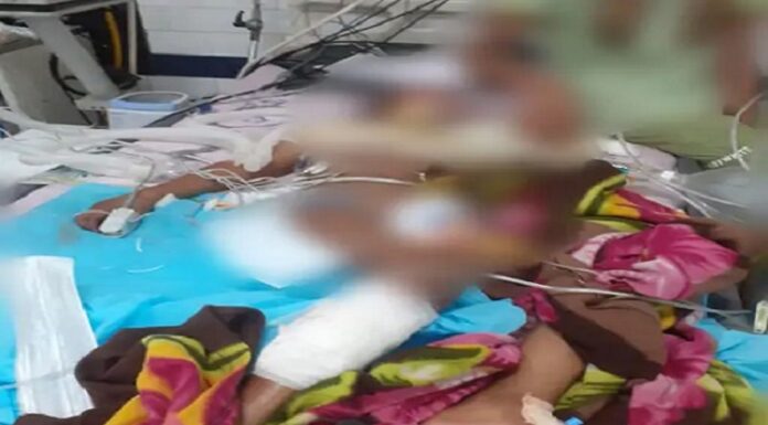 ਦਿੱਲੀ : 12 ਸਾਲਾ ਬੱਚੇ ਨਾਲ 4 ਲੋਕਾਂ ਵੱਲੋਂ ‘ਨਿਰਭਯਾ’ ਵਰਗਾ ਕਾਂਡ, ਅਧਮੋਈ ਹਾਲਤ ‘ਚ ਸੜਕ ‘ਤੇ ਸੁੱਟਿਆ