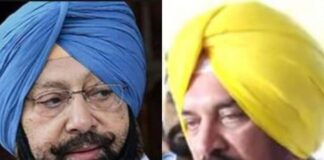 ਕੈਪਟਨ ਦੇ ਗੈਂਗਸਟਰਾਂ ਦੇ ਗੋਲ਼ੀ ਮਾਰਨ ਦੇ ਬਿਆਨ ‘ਤੇ ‘ਆਪ’ ਵਿਧਾਇਕ ਦੇਵ ਮਾਨ ਦਾ ਤੰਜ, ਕਿਹਾ- ਕੈਪਟਨ ਆਪਣੇ ਵੇਲੇ ਤਾਂ ਸੀਤਾ ਫਲ਼ ਖਾਂਦੇ ਰਹੇ, ਕਿਉਂ ਨਹੀਂ ਕੀਤੀ ਗੈਂਗਸਟਰਾਂ ‘ਤੇ ਕਾਰਵਾਈ