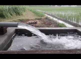 Breaking News : ਪੰਜਾਬ ‘ਚ ਮੋਟਰ ਕੁਨੈਕਸ਼ਨਾਂ ਨਾਲ ਜੁੜਿਆ ਵੱਡਾ ਘੁਟਾਲਾ ਆਇਆ ਸਾਹਮਣੇ