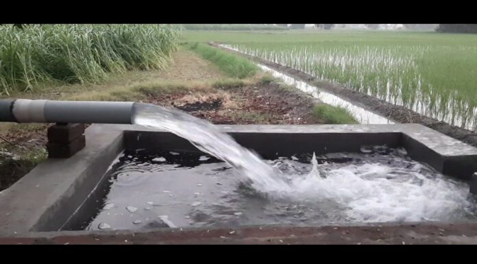 Breaking News : ਪੰਜਾਬ ‘ਚ ਮੋਟਰ ਕੁਨੈਕਸ਼ਨਾਂ ਨਾਲ ਜੁੜਿਆ ਵੱਡਾ ਘੁਟਾਲਾ ਆਇਆ ਸਾਹਮਣੇ