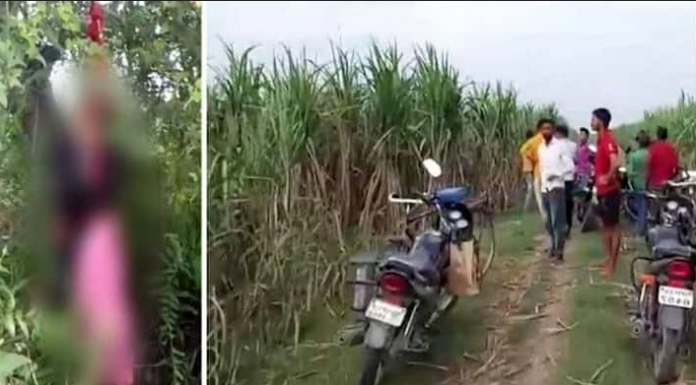 ਲਖੀਮਪੁਰ ‘ਚ ਦਲਿਤ ਭੈਣਾਂ ਦੇ ਕਤਲ ਮਾਮਲੇ ‘ਚ ਹੋਇਆ ਨਵਾਂ ਖੁਲਾਸਾ, ਰੇਪ ਤੋਂ ਬਾਅਦ ਲਾਸ਼ਾਂ ਦਰਖਤ ਨਾਲ ਲਟਕਾਈਆਂ