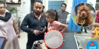 ਜਲੰਧਰ ‘ਚ ਪਿਟਬੁੱਲ ਕੁੱਤੇ ਨੇ ਬੱਚੀ ਨੂੰ ਵੱਢਿਆ, ਸ਼ਿਕਾਇਤ ਕਰਨ ‘ਤੇ ਕੁੱਤੇ ਦੇ ਮਾਲਕ ਨੇ ਕੀਤੀ ਗੁੰਡਾਗਰਦੀ