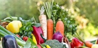 ਬਾਰਿਸ਼ ਮਗਰੋਂ ਲੋਕਾਂ ਨੂੰ ਇੱਕ ਹੋਰ ਝਟਕਾ, ਸਬਜ਼ੀਆਂ ਦੇ ਰੇਟ ਨੇ ਮਚਾਈ ਹਾਹਾਕਾਰ