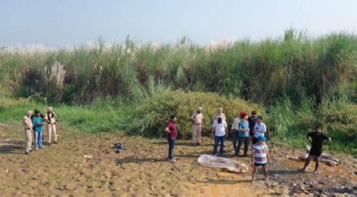 ਨਾਜਾਇਜ਼ ਸ਼ਰਾਬ ‘ਤੇ ਵੱਡਾ ਐਕਸ਼ਨ, ਲੁਧਿਆਣਾ ‘ਚ 145000 ਲੀਟਰ ਲਾਹਣ ਬਰਾਮਦ