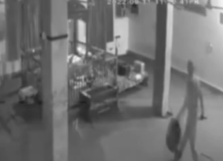 ਅੰਮ੍ਰਿਤਸਰ ‘ਚ ਗੁਰਦੁਆਰਾ ਸਾਹਿਬ ਦੀ ਗੋਲਕ ਚੋਰੀ, ਸਾਰੀ ਘਟਨਾ CCTV ‘ਚ ਕੈਦ