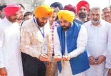 ਝੋਨੇ ਦੀ ਖਰੀਦ ਅਤੇ ਚੁਕਾਈ ਇਕ ਹਫ਼ਤੇ ਵਿੱਚ ਹੋਵੇਗੀ ਮੁਕੰਮਲ : ਮੁੱਖ ਮੰਤਰੀ ਭਗਵੰਤ ਮਾਨ