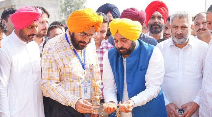 ਝੋਨੇ ਦੀ ਖਰੀਦ ਅਤੇ ਚੁਕਾਈ ਇਕ ਹਫ਼ਤੇ ਵਿੱਚ ਹੋਵੇਗੀ ਮੁਕੰਮਲ : ਮੁੱਖ ਮੰਤਰੀ ਭਗਵੰਤ ਮਾਨ