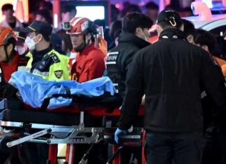 ਦੱਖਣੀ ਕੋਰੀਆ ਦੀ ਰਾਜਧਾਨੀ ਸਿਓਲ ‘ਚ ਭਗਦੜ ਦੌਰਾਨ 151 ਲੋਕਾਂ ਦੀ ਮੌਤ, ਜਾਣੋ ਕਿਉਂ ਵਾਪਰਿਆ ਇਹ ਹਾਦਸਾ