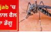 ਪੰਜਾਬ ‘ਚ ਵਧਿਆ ਡੇਂਗੂ ਦਾ ਖਤਰਾ : ਇਕ ਦਿਨ ‘ਚ 190 ਕੇਸ ਆਏ ਸਾਹਮਣੇ, ਕੁਲ ਮਰੀਜ਼ਾਂ ਦੀ ਗਿਣਤੀ 5 ਹਜ਼ਾਰ ਦੇ ਨੇੜੇ
