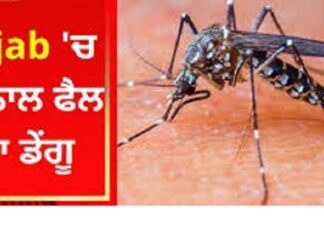 ਪੰਜਾਬ ‘ਚ ਵਧਿਆ ਡੇਂਗੂ ਦਾ ਖਤਰਾ : ਇਕ ਦਿਨ ‘ਚ 190 ਕੇਸ ਆਏ ਸਾਹਮਣੇ, ਕੁਲ ਮਰੀਜ਼ਾਂ ਦੀ ਗਿਣਤੀ 5 ਹਜ਼ਾਰ ਦੇ ਨੇੜੇ
