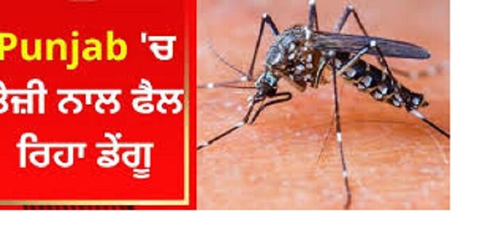 ਪੰਜਾਬ ‘ਚ ਵਧਿਆ ਡੇਂਗੂ ਦਾ ਖਤਰਾ : ਇਕ ਦਿਨ ‘ਚ 190 ਕੇਸ ਆਏ ਸਾਹਮਣੇ, ਕੁਲ ਮਰੀਜ਼ਾਂ ਦੀ ਗਿਣਤੀ 5 ਹਜ਼ਾਰ ਦੇ ਨੇੜੇ