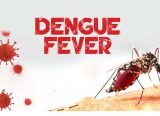 ਪੰਜਾਬ ਦੇ ਇਨ੍ਹਾਂ 5 ਜ਼ਿਲਿਆਂ ‘ਚ ਵਧਿਆ ਡੇਂਗੂ ਦਾ ਖਤਰਾ, ਕੁੱਲ ਮਰੀਜ਼ ਹੋਏ 5 ਹਜ਼ਾਰ ਦੇ ਨੇੜੇ dengue