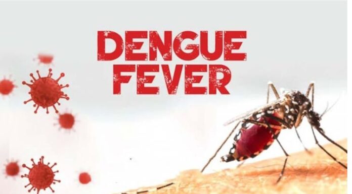 ਪੰਜਾਬ ਦੇ ਇਨ੍ਹਾਂ 5 ਜ਼ਿਲਿਆਂ ‘ਚ ਵਧਿਆ ਡੇਂਗੂ ਦਾ ਖਤਰਾ, ਕੁੱਲ ਮਰੀਜ਼ ਹੋਏ 5 ਹਜ਼ਾਰ ਦੇ ਨੇੜੇ dengue