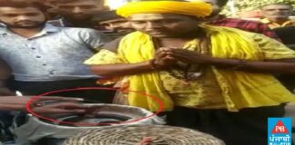 ਲੁਧਿਆਣਾ : ਗਿੱਦੜਸਿੰਗੀ ਦੇ ਨਾਂ ‘ਤੇ ਵੇਚਦੇ ਸਨ ਬਿੱਲੀ ਤੇ ਉੱਲੂ ਦੇ ਸਿੰਦੂਰ ਲੱਗੇ ਪੰਜੇ, ਲੋਕਾਂ ਨੂੰ ਮੂਰਖ ਬਣਾ ਵਸੂਲਦੇ ਸਨ ਮੋਟੀ ਰਕਮ, ਗ੍ਰਿਫਤਾਰ