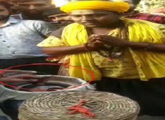 ਲੁਧਿਆਣਾ : ਗਿੱਦੜਸਿੰਗੀ ਦੇ ਨਾਂ ‘ਤੇ ਵੇਚਦੇ ਸਨ ਬਿੱਲੀ ਤੇ ਉੱਲੂ ਦੇ ਸਿੰਦੂਰ ਲੱਗੇ ਪੰਜੇ, ਲੋਕਾਂ ਨੂੰ ਮੂਰਖ ਬਣਾ ਵਸੂਲਦੇ ਸਨ ਮੋਟੀ ਰਕਮ, ਗ੍ਰਿਫਤਾਰ