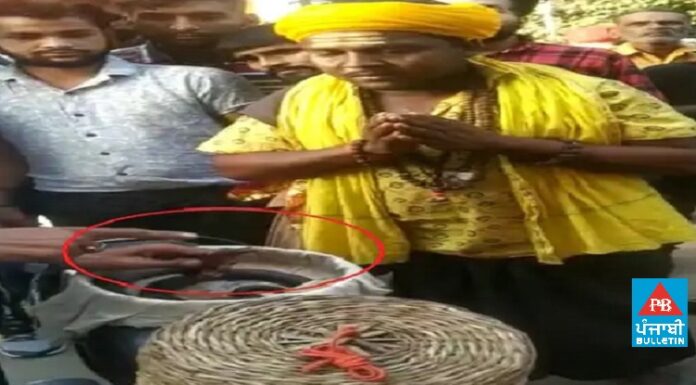 ਲੁਧਿਆਣਾ : ਗਿੱਦੜਸਿੰਗੀ ਦੇ ਨਾਂ ‘ਤੇ ਵੇਚਦੇ ਸਨ ਬਿੱਲੀ ਤੇ ਉੱਲੂ ਦੇ ਸਿੰਦੂਰ ਲੱਗੇ ਪੰਜੇ, ਲੋਕਾਂ ਨੂੰ ਮੂਰਖ ਬਣਾ ਵਸੂਲਦੇ ਸਨ ਮੋਟੀ ਰਕਮ, ਗ੍ਰਿਫਤਾਰ