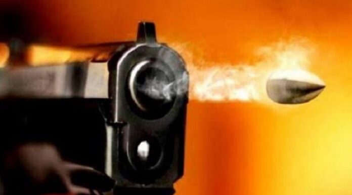 ਲੁਧਿਆਣਾ ‘ਚ ਦੁਕਾਨਦਾਰ ‘ਤੇ ਮਾਸੀ ਦੇ ਮੁੰਡੇ ਨੇ ਚਲਾਈਆਂ ਗੋਲੀਆਂ, ਇਲਾਕੇ ‘ਚ ਸਹਿਮ ਦਾ ਮਾਹੌਲ