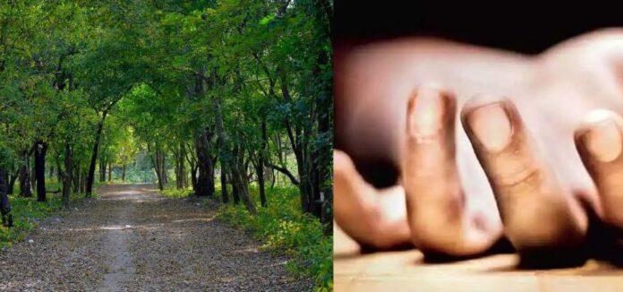 ਜਲੰਧਰ ਦੀ 22 ਸਾਲਾ ਕੁੜੀ ਦੀ ਲਾਸ਼ ਚੰਡੀਗੜ੍ਹ ਦੀ ਸੁਖਨਾ ਝੀਲ ਤੋਂ ਬਰਾਮਦ