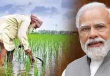 PM ਮੋਦੀ ਅੱਜ ਪਾਉਣਗੇ ਕਿਸਾਨਾਂ ਦੇ ਖਾਤਿਆਂ ‘ਚ 16 ਹਜ਼ਾਰ ਕਰੋੜ ਰੁਪਏ, ਪੈਸੇ ਖਾਤੇ ‘ਚ ਨਾ ਆਉਣ ‘ਤੇ ਇਨ੍ਹਾਂ ਨੰਬਰਾਂ ‘ਤੇ ਕਰੋ ਸੰਪਰਕ