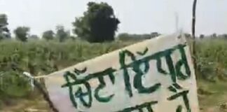 ਰੱਬ ਹੀ ਰਾਖਾ : ਨਸ਼ਿਆਂ ਨੇ ਪੱਟ’ਤੀ ਪੰਜਾਬ ਦੀ ਜਵਾਨੀ, ਹੁਣ ਖੇਤਾਂ ‘ਚ ਲੱਗਣ ਲੱਗੇ ਚਿੱਟਾ ਵਿਕਣ ਦੇ ਬੋਰਡ