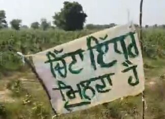 ਰੱਬ ਹੀ ਰਾਖਾ : ਨਸ਼ਿਆਂ ਨੇ ਪੱਟ’ਤੀ ਪੰਜਾਬ ਦੀ ਜਵਾਨੀ, ਹੁਣ ਖੇਤਾਂ ‘ਚ ਲੱਗਣ ਲੱਗੇ ਚਿੱਟਾ ਵਿਕਣ ਦੇ ਬੋਰਡ