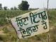 ਰੱਬ ਹੀ ਰਾਖਾ : ਨਸ਼ਿਆਂ ਨੇ ਪੱਟ’ਤੀ ਪੰਜਾਬ ਦੀ ਜਵਾਨੀ, ਹੁਣ ਖੇਤਾਂ ‘ਚ ਲੱਗਣ ਲੱਗੇ ਚਿੱਟਾ ਵਿਕਣ ਦੇ ਬੋਰਡ