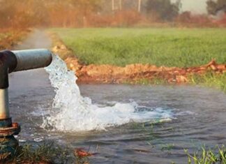 ਕਿਸਾਨ ਹੁਣ 31 ਅਕਤੂਬਰ ਤੱਕ ਵਧਾ ਸਕਣਗੇ ਮੋਟਰਾਂ ਦਾ ਲੋਡ, ਪਾਵਰਕਾਮ ਨੇ ਆਖ਼ਰੀ ਤਰੀਕ ‘ਚ ਕੀਤਾ ਵਾਧਾ