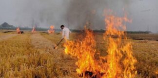 ਪਰਾਲੀ ਸਾੜਨ ਕਾਰਨ ਪੰਜਾਬ ਦੀ ਹਵਾ ‘ਚ ਘੁਲ ਰਿਹੈ ਜ਼ਹਿਰ ; ‘ਆਪ’ ਦਾ ਦਾਅਵਾ ਪੰਜਾਬ ਦੀ ਆਬੋ ਹਵਾ ਹਰਿਆਣਾ ਨਾਲੋਂ ਬਿਹਤਰ