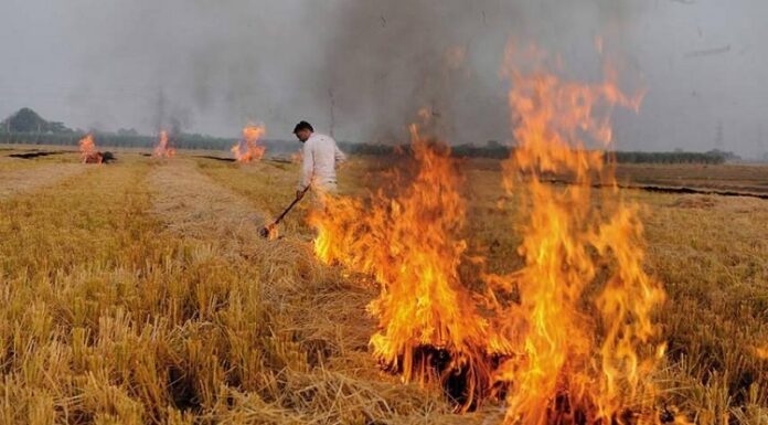 ਪੰਜਾਬ ‘ਚ ਪਰਾਲੀ ਸਾੜਨ ਦੇ ਇਕ ਦਿਨ ‘ਚ 1898 ਮਾਮਲੇ ਆਏ ਸਾਹਮਣੇ, ਪਿਛਲੇ 2 ਸਾਲਾਂ ਦਾ ਟੁੱਟਿਆ ਰਿਕਾਰਡ