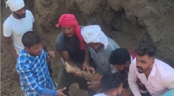 ਤਰਨਤਾਰਨ : ਡਿਫੈਂਸ ਡ੍ਰੇਨ ਦੀ ਸਫਾਈ ਕਰਦਿਆਂ ਮਿੱਟੀ ਹੇਠਾਂ ਦੱਬੇ 5 ਮਜ਼ਦੂਰ, 1 ਦੀ ਮੌਤ, ਕਈ ਗੰਭੀਰ