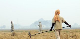 ਪਰਾਲੀ ਸਾੜਨ ਦੇ ਮਾਮਲੇ ‘ਚ ਪੰਜਾਬ ਪਹਿਲੇ ਨੰਬਰ ‘ਤੇ, ਸਾਹਮਣੇ ਆਏ 193 ਮਾਮਲੇ