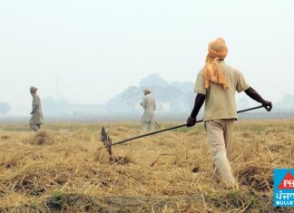 ਪਰਾਲੀ ਸਾੜਨ ਦੇ ਮਾਮਲੇ ‘ਚ ਪੰਜਾਬ ਪਹਿਲੇ ਨੰਬਰ ‘ਤੇ, ਸਾਹਮਣੇ ਆਏ 193 ਮਾਮਲੇ