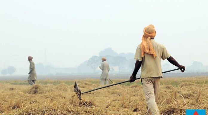 ਪਰਾਲੀ ਸਾੜਨ ਦੇ ਮਾਮਲੇ ‘ਚ ਪੰਜਾਬ ਪਹਿਲੇ ਨੰਬਰ ‘ਤੇ, ਸਾਹਮਣੇ ਆਏ 193 ਮਾਮਲੇ