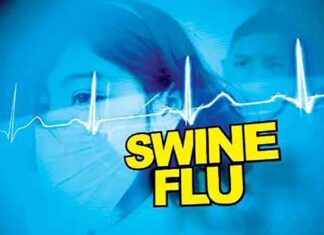 ਸਵਾਈਨ ਫਲੂ ਦਾ ਕਹਿਰ : ਲੁਧਿਆਣਾ ‘ਚ 11 ਮਰੀਜ਼ਾਂ ਦੀ ਹੁਣ ਤੱਕ ਮੌਤ