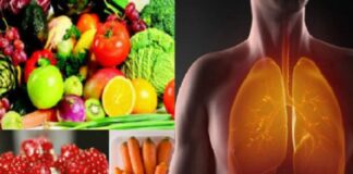 ਫੇਫੜਿਆਂ ਦਾ ਰੱਖੋ ਧਿਆਨ, ਇਨ੍ਹਾਂ ਚੀਜ਼ਾਂ ਨੂੰ ਡਾਈਟ ‘ਚ ਕਰੋ ਸ਼ਾਮਲ, ਰਹੋਗੇ ਹਮੇਸ਼ਾ ਤੰਦਰੁਸਤ