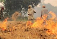 ਪੰਜਾਬ ਸਰਕਾਰ ਦੇ ਦਾਅਵਿਆਂ ਦੀ ਨਿਕਲੀ ਫੂਕ ! ਕਿਸਾਨ ਧੜੱਲੇ ਨਾਲ ਸਾੜ ਰਹੇ ਪਰਾਲੀ, AQI ਖਰਾਬ ਸ਼੍ਰੇਣੀ ‘ਚ