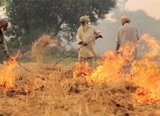 ਪੰਜਾਬ ਸਰਕਾਰ ਦੇ ਦਾਅਵਿਆਂ ਦੀ ਨਿਕਲੀ ਫੂਕ ! ਕਿਸਾਨ ਧੜੱਲੇ ਨਾਲ ਸਾੜ ਰਹੇ ਪਰਾਲੀ, AQI ਖਰਾਬ ਸ਼੍ਰੇਣੀ ‘ਚ