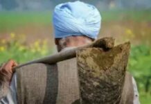 ਬਠਿੰਡਾ ਦਾ ਇੱਕ ਕਿਸਾਨ ਪ੍ਰਸ਼ਾਸਨਿਕ ਗਲਤੀ ਕਾਰਨ ਬਣਿਆ ਕਰੋੜਪਤੀ, ਪੜ੍ਹੋ ਕੀ ਹੈ ਪੂਰਾ ਮਾਮਲਾ
