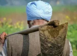ਬਠਿੰਡਾ ਦਾ ਇੱਕ ਕਿਸਾਨ ਪ੍ਰਸ਼ਾਸਨਿਕ ਗਲਤੀ ਕਾਰਨ ਬਣਿਆ ਕਰੋੜਪਤੀ, ਪੜ੍ਹੋ ਕੀ ਹੈ ਪੂਰਾ ਮਾਮਲਾ