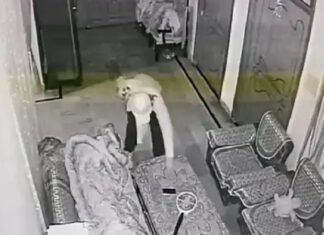 ਜਲੰਧਰ : ਘਰ ‘ਚੋਂ 40 ਹਜ਼ਾਰ ਦੀ ਨਕਦੀ ਅਤੇ ਲੈਪਟਾਪ ਚੋਰੀ, ਚੋਰ ਸੀਸੀਟੀਵੀ ‘ਚ ਕੈਦ