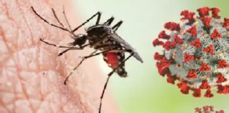 ਡੇਂਗੂ ਸਬੰਧੀ ਹਦਾਇਤਾਂ ਦੀ ਪਾਲਣਾ ਨਾ ਕਰਨ ਵਾਲਿਆਂ ਦੇ ਕੱਟੇ ਜਾਣਗੇ ਚਲਾਨ dengu