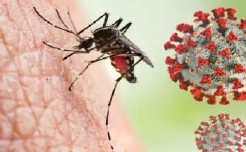 ਡੇਂਗੂ ਸਬੰਧੀ ਹਦਾਇਤਾਂ ਦੀ ਪਾਲਣਾ ਨਾ ਕਰਨ ਵਾਲਿਆਂ ਦੇ ਕੱਟੇ ਜਾਣਗੇ ਚਲਾਨ dengu