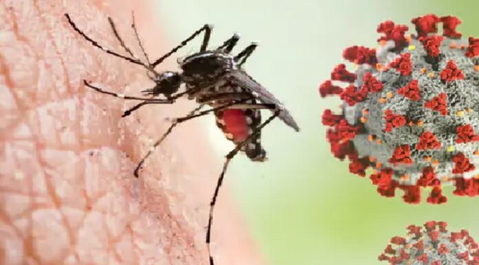 ਡੇਂਗੂ ਸਬੰਧੀ ਹਦਾਇਤਾਂ ਦੀ ਪਾਲਣਾ ਨਾ ਕਰਨ ਵਾਲਿਆਂ ਦੇ ਕੱਟੇ ਜਾਣਗੇ ਚਲਾਨ dengu