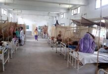 ਲੁਧਿਆਣਾ ‘ਚ ਡੇਂਗੂ ਦਾ ਕਹਿਰ ਜਾਰੀ ; 28 ਦਿਨਾਂ ਦੌਰਾਨ ਡੇਂਗੂ ਦੇ 949 ਮਾਮਲੇ ਆਏ ਸਾਹਮਣੇ