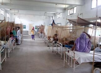 ਪੰਜਾਬ ‘ਚ ਵਧੀ ਡੇਂਗੂ ਦੀ ਪਾਜ਼ੇਟੀਵਿਟੀ ਦਰ, ਇਨ੍ਹਾਂ 8 ਜ਼ਿਲਿਆਂ ‘ਚ ਵਧ ਨੇ ਮਾਮਲੇ