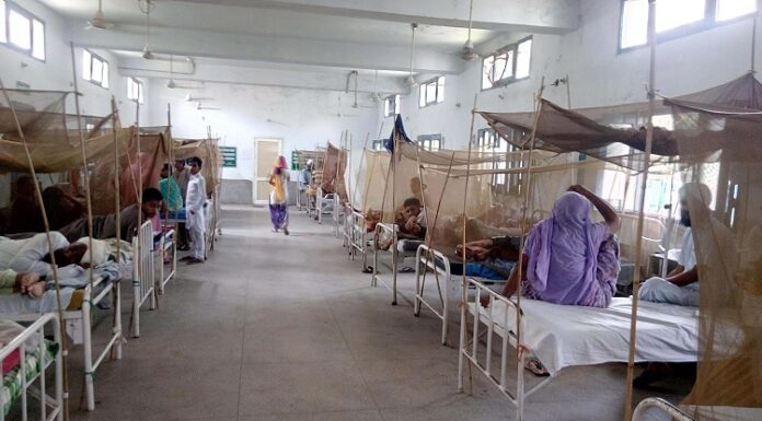 ਲੁਧਿਆਣਾ ‘ਚ ਡੇਂਗੂ ਦਾ ਕਹਿਰ ਜਾਰੀ ; 28 ਦਿਨਾਂ ਦੌਰਾਨ ਡੇਂਗੂ ਦੇ 949 ਮਾਮਲੇ ਆਏ ਸਾਹਮਣੇ