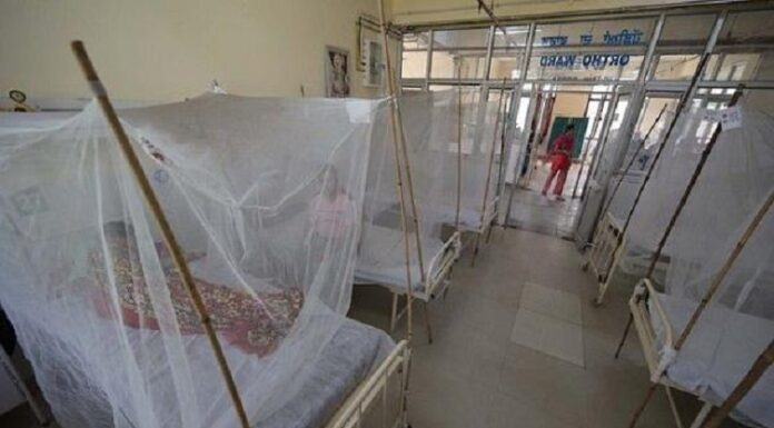 ਪੰਜਾਬ ‘ਚ ਡੇਂਗੂ ਦਾ ਕਹਿਰ : ਜੇ ਸਰੀਰ ‘ਚ ਮਿਲਣ ਇਹ ਲੱਛਣ ਤਾਂ ਤੁਰੰਤ ਮਿਲੋ ਡਾਕਟਰ ਨੂੰ