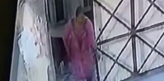 ਲੁਧਿਆਣਾ ‘ਚ ਔਰਤ ਨੇ ਕਤੂਰੇ ਨੂੰ ਬੇਰਹਿਮੀ ਨਾਲ ਮਾਰੀਆਂ ਲੱਤਾਂ, ਵੀਡੀਓ ਵਾਇਰਲ